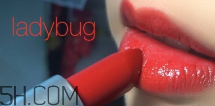 mac lady bug掉色嗎？mac ladybug真假辨別