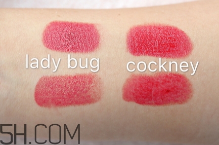 mac ladybug和chili哪個(gè)好看_試色對(duì)比