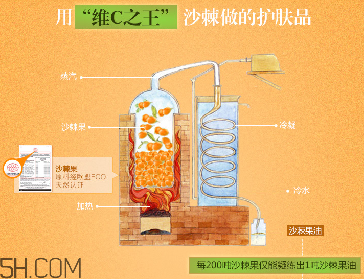 法蘭琳卡透亮保濕面貼膜