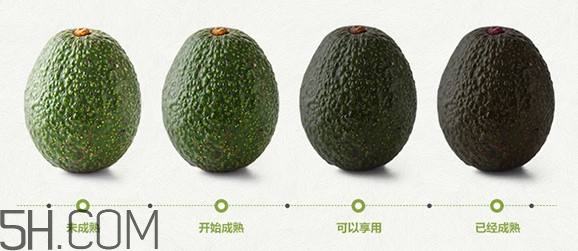 生牛油果可以放冰箱嗎？生牛油果怎么保存？