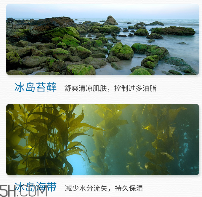 得鮮冰島補(bǔ)水保濕乳液