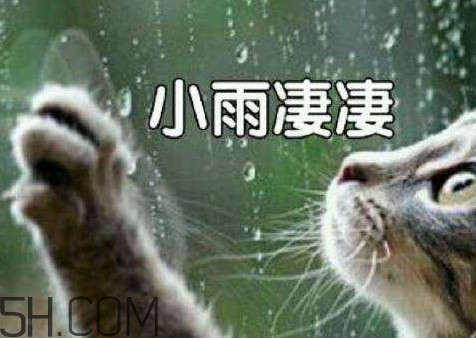 2018年降雨量比2017年多還是少 2018年全年降雨量預(yù)測