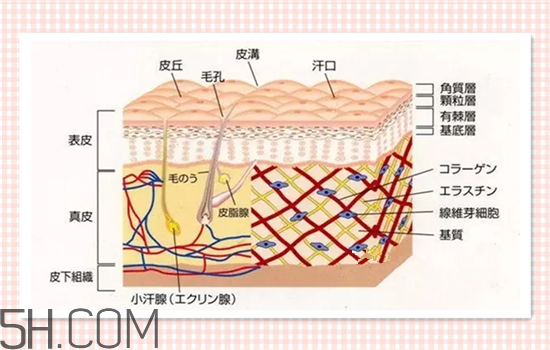 水光針可以祛斑嗎？涂抹式水光針的效果好嗎？