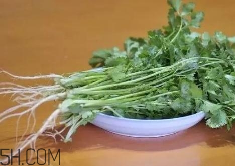 香菜根煮水能減肥嗎？香菜根煮水能天天喝嗎？