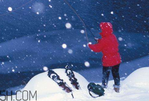 下雪天能釣魚嗎 下雪天好釣魚嗎