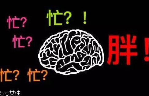 久坐不動上班族如何減肥？越努力工作的人越容易發(fā)胖