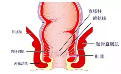 肛瘺非手術(shù)治療才可以嗎？手術(shù)是治療的關(guān)鍵途徑