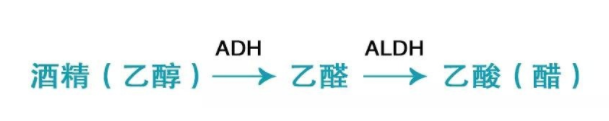 喝酒致癌的真相是什么？乙醛致癌太可怕