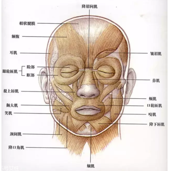 法令紋怎么去除？最有效的方法是醫(yī)美