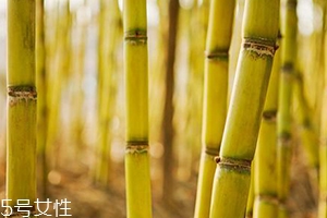 吃甘蔗臉會(huì)變大嗎？原來還有這么一說