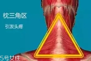 人體黃金三角區(qū)有哪些？養(yǎng)好了百病不擾