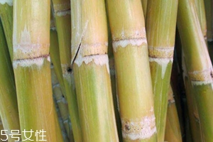 甘蔗吃多了對(duì)牙齒好嗎？有可能損傷牙齒