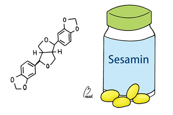 芝麻素是什么 芝麻素有助睡眠功效