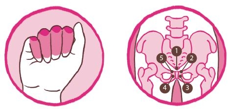 子宮寒調(diào)理試試骨氣療法