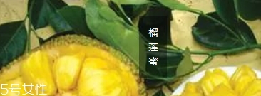 榴蓮蜜和菠蘿蜜的區(qū)別 榴蓮榴蓮蜜菠蘿蜜傻傻分不清