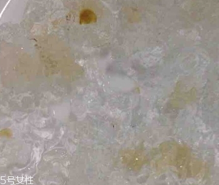 雪燕和桃膠能一起燉嗎？