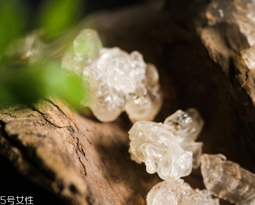 雪燕和銀耳哪個好？其實可以一起食用