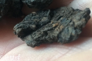 老茶頭怎么泡？泡錯了就不好喝了