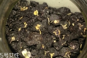 黑枸杞還還是紅枸杞好？各有千秋