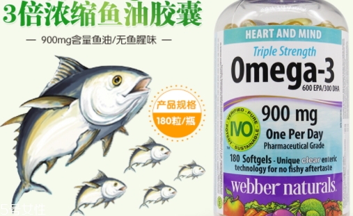 webber naturals魚油怎么吃？3倍濃縮深海魚油