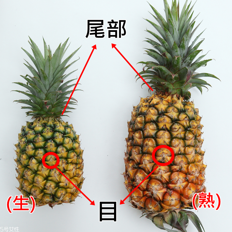 鳳梨怎么切圖解 鳳梨怎么削皮圖解