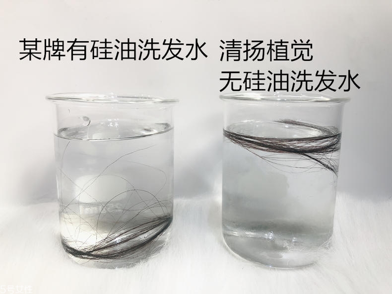 清揚(yáng)0硅油洗發(fā)水好用嗎？自帶高級(jí)感香調(diào)