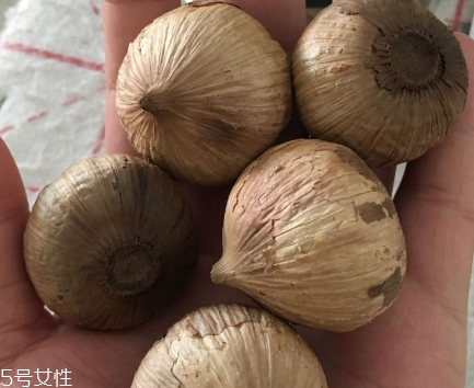 黑蒜怎么吃？黑蒜最好吃的吃法