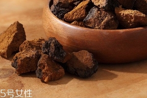 樺樹(shù)茸是樹(shù)黃嗎？樺樹(shù)茸屬于什么