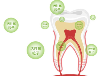 牙貼怎么分上下牙貼？牙貼怎么分正反