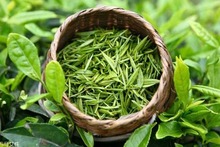 伊索綠茶調(diào)理液適合油皮嗎 aesop綠茶調(diào)理液適合膚質(zhì)