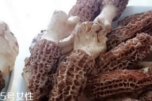 羊肚菌是什么東西？羊肚菌能吃嗎？