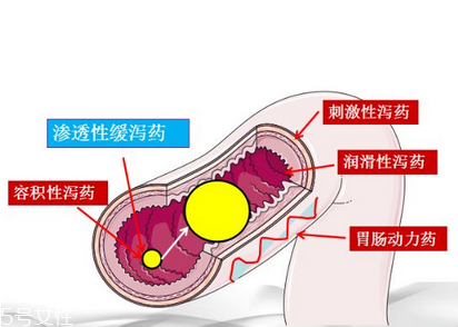 瀉藥吃了多久后開始排便？