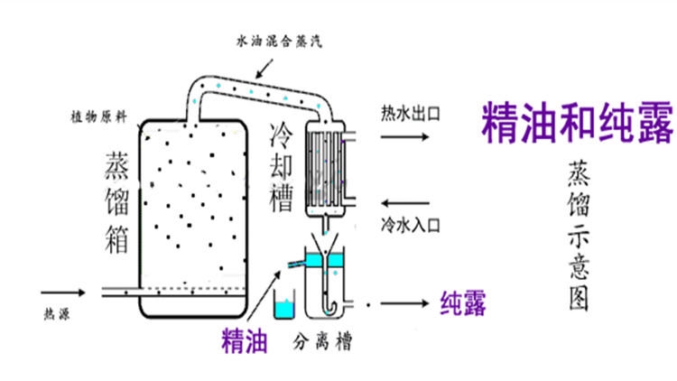 純露怎么濕敷效果好？純露濕敷的正確步驟