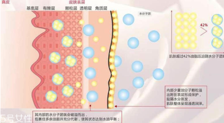 頑固痘痘怎么消除？油皮為什么反復(fù)爆痘？