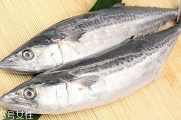 鲅魚(yú)是什么魚(yú) 鲅魚(yú)是海魚(yú)