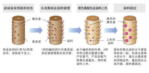 長效染發(fā)劑和短效染發(fā)劑哪個好 2種染發(fā)劑大pk