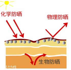 油性皮膚怎么防曬不油膩 輕松安穩(wěn)過(guò)夏天