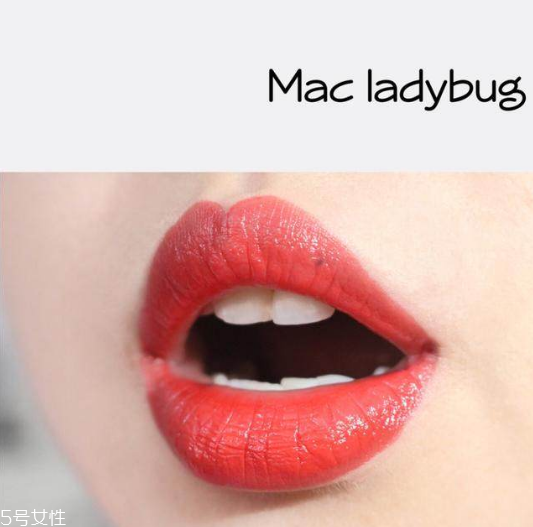 mac cockney和ladybug哪個(gè)好 mac cockney試色