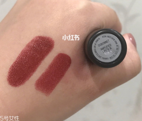 mac dubonnet和spice it up哪個好看 上嘴差別不大