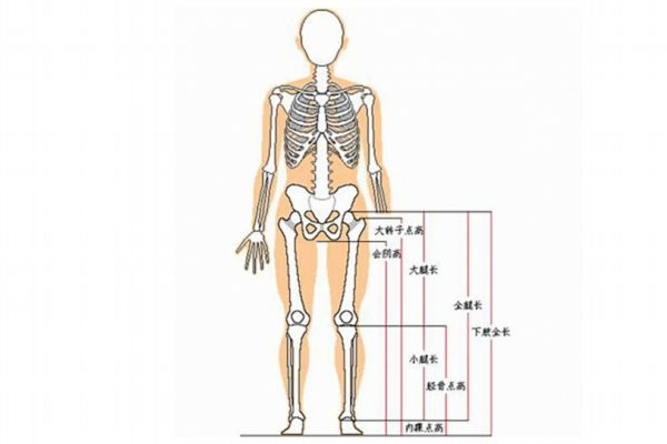 什么樣的腿算長 你知道怎樣是真正的腿精