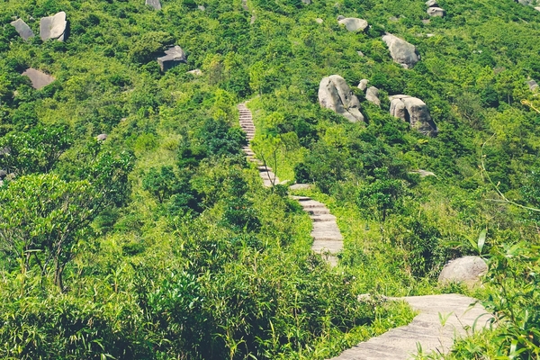 爬山喝什么水好 最好是涼白開