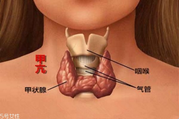 治療?甲亢的中醫(yī)具體實(shí)施方法