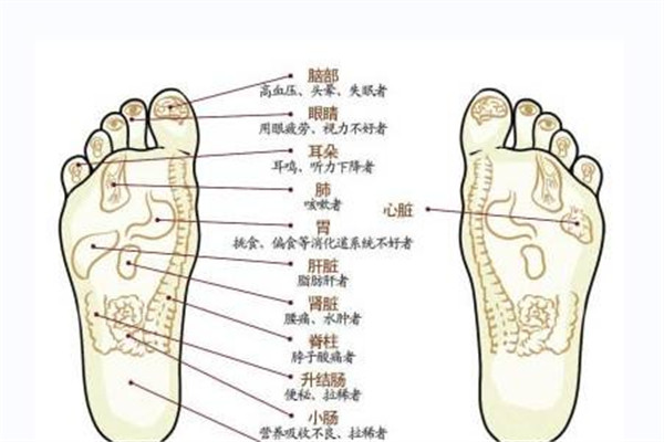 腳上有哪些穴位 哪些穴位代表身體健康