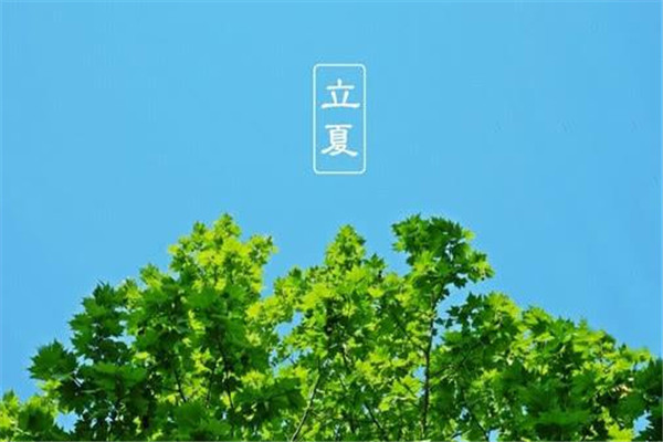 立夏風(fēng)俗吃什么 立夏怎么吃好