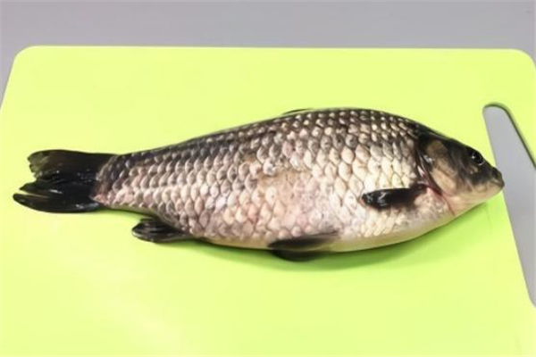 魚(yú)鱗屬于什么垃圾 魚(yú)鱗是濕垃圾嗎