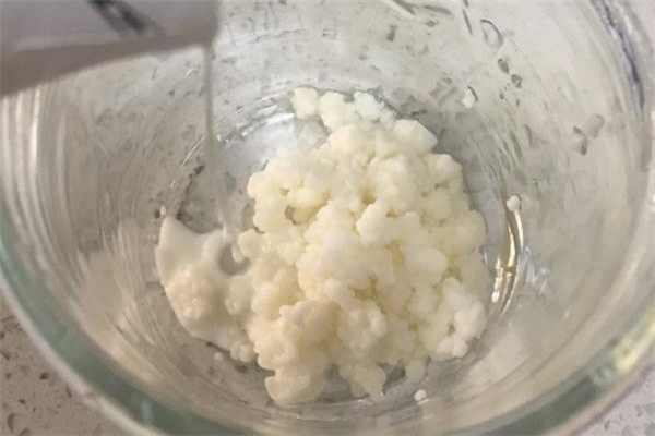 雪蓮菌多少錢一斤 雪蓮菌價(jià)格