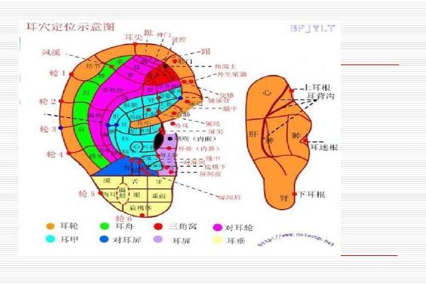 什么是耳穴埋豆 耳穴埋豆的注意事項(xiàng)