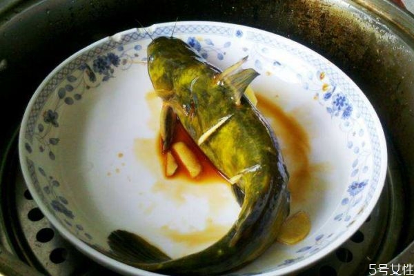 什么是黃刺魚呢 黃刺魚有什么營(yíng)養(yǎng)價(jià)值呢