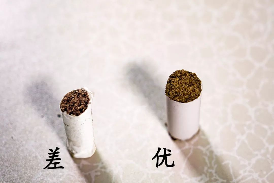 艾條的煙對(duì)身體有害嗎 艾條能長(zhǎng)期用嗎