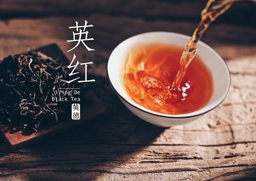 英紅九號屬于什么檔次的茶 英紅九號怎么沖泡